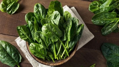 Rau bina chứa nhiều Sắt