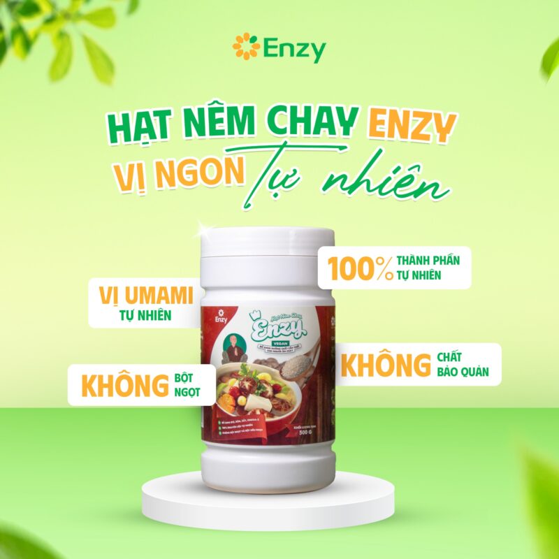 hạt nêm chay xuất xứ việt nam