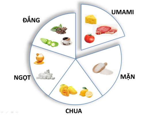 Hạt nêm rong biển có vị Umami