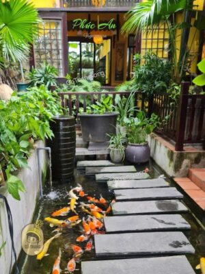 View hồ cá koi - quán chay view đẹp