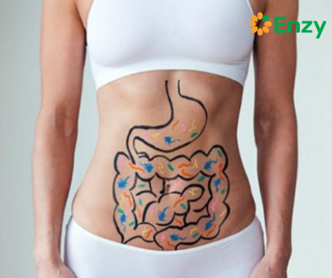 lợi ích của chế độ ăn thực vật 