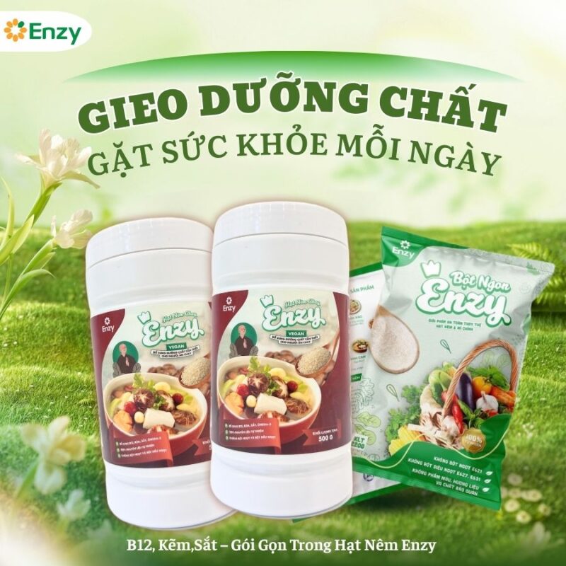 Hạt nêm chay enzy khác gì với hạt nêm rau củ enzy
