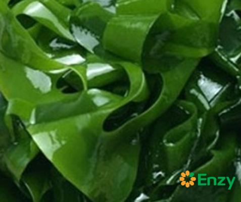 thực phẩm chay giàu omega-3