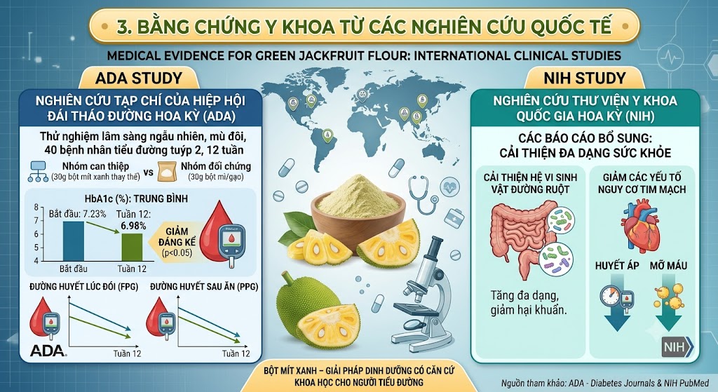 Nghien cuu khoa hoc về bột mít xanh
